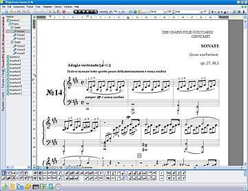 Music Notation Software dynamics