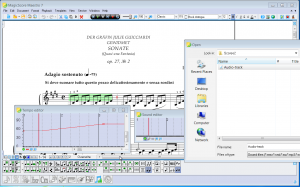 Music tempo and sound editors